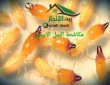 شركة مكافحة النمل الأبيض بالرياض 0533642545 خصم15%