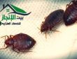 شركة مكافحة بق الفراش بالرياض 0533642545 خصم30%