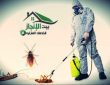 شركة مكافحة صراصير بالرياض 0533642545 خصم30%